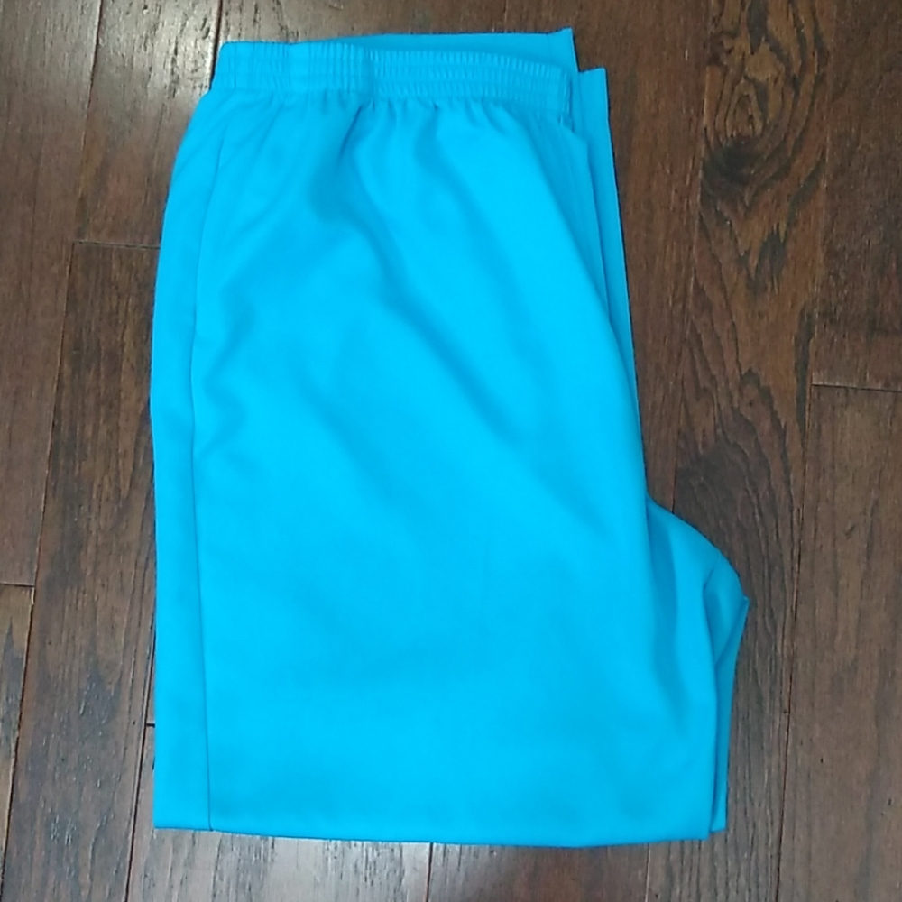 Alfred Dunner Turquoise Pants Size 16